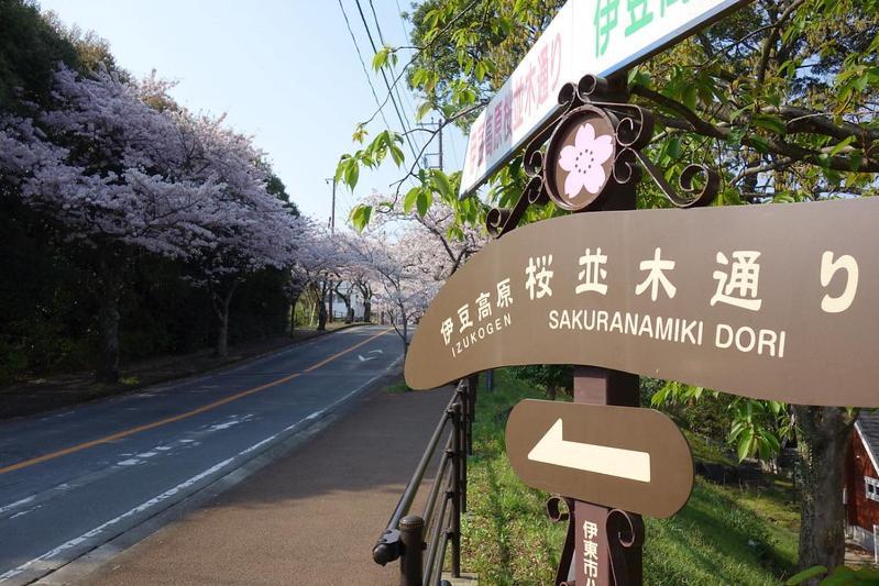 伊豆高原 温泉付別荘 Isana Mountain Villa Futo Exterior foto